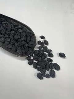 مویز